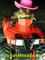 /home//u458753944/public_html/sourcegallery//Roxborough Toad Detour/2013-2019/2017/P3250664.JPG